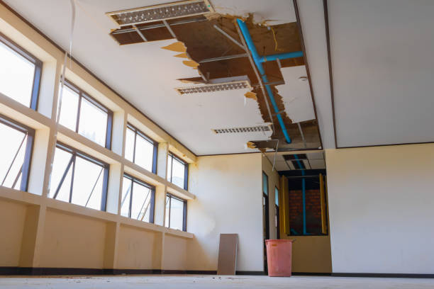 Best Water damage restoration cost  in Brilliant, OH