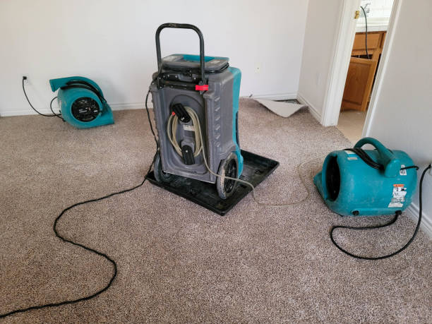 Reliable Brilliant, OH Water damage restoration Solutions