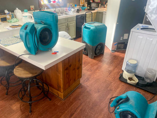  Brilliant, OH Water damage restoration Pros