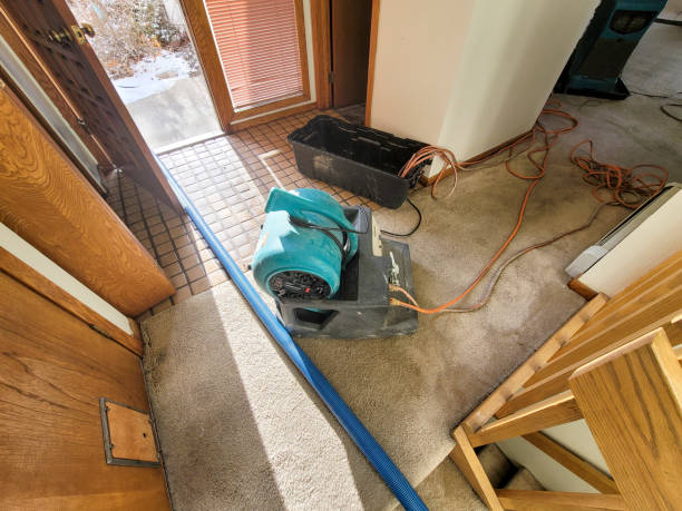 Best Sewage cleanup and water damage restoration  in Brilliant, OH