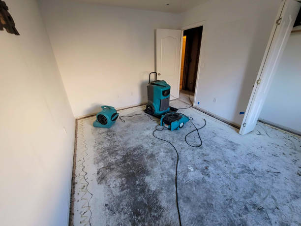 Best Local water damage restoration  in Brilliant, OH