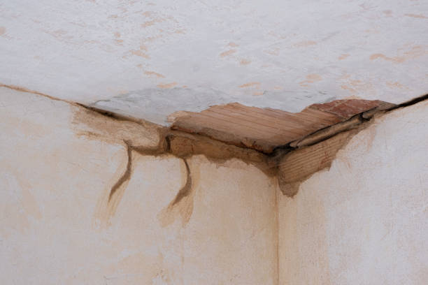 Best Local water damage restoration  in Brilliant, OH