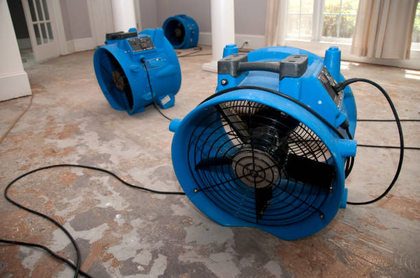 Best Residential water damage restoration  in Brilliant, OH