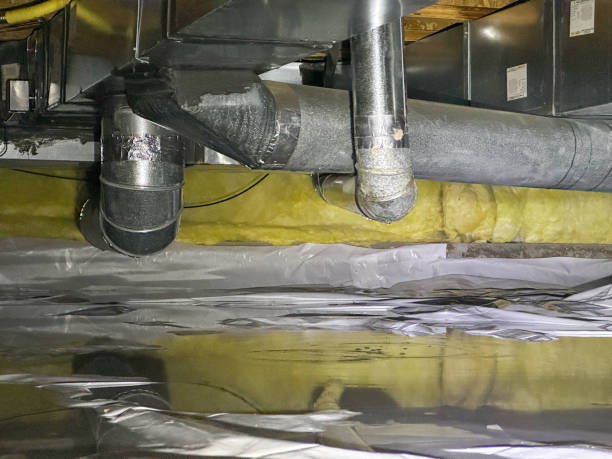 Best Water damage restoration near me  in Brilliant, OH