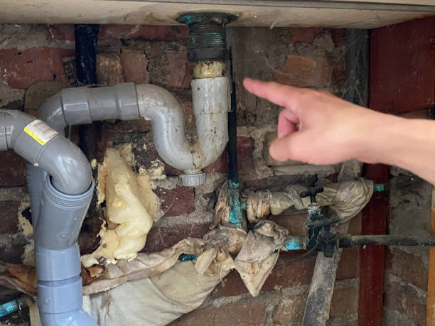 Best Water damage cleanup near me  in Brilliant, OH